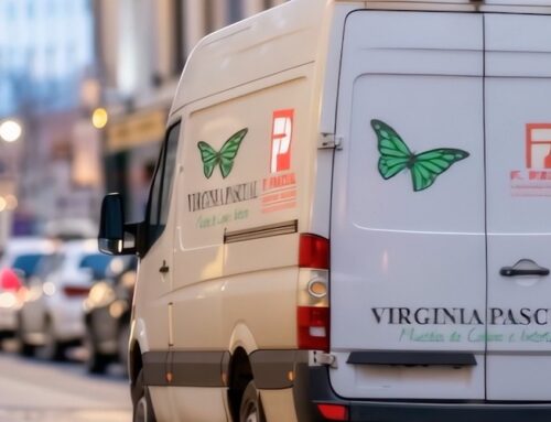 Sukaldeko altzariak Virginia Pascual